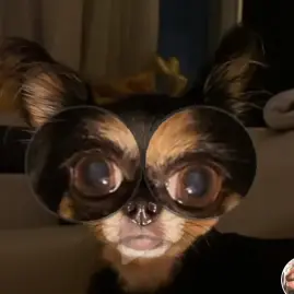 Beksu Rika Tiktok ads