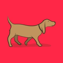 Meet My Doggo Tiktok ads