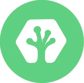 thesoulai Tiktok ads