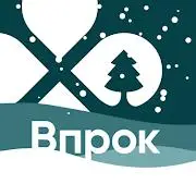 Перекрёсток Впрок — продукты Tiktok ads