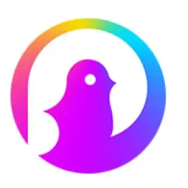 Pokekara－本格採点カラオケアプリ Tiktok ads