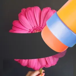 Eraser - Photo editor Tiktok ads