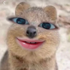 세얼간이 써니(Sunny)🐣 Tiktok ads