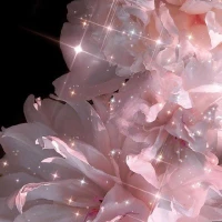 anan06178 Tiktok ads