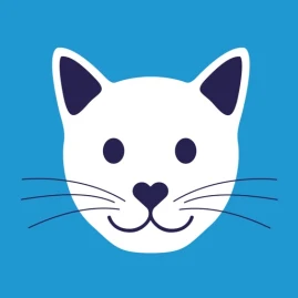 feed a cat: Tierschutz Tiktok ads