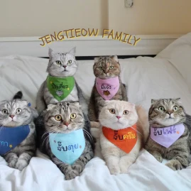 พี่เจ๋งน้องเตี๋ยวไม่ตีกันสิลูก Tiktok ads