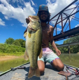 rogerwaynee Tiktok ads