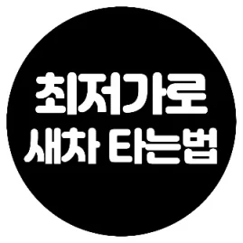 최저가로 새차타는법 Tiktok ads