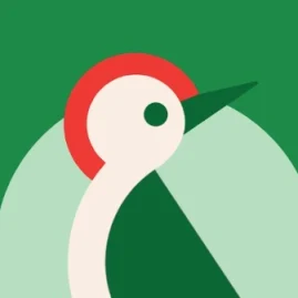 Taptap Send Bangladesh Tiktok ads