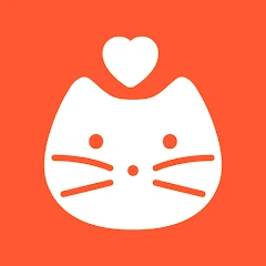 쿠캣 - 맛있는 간편식 Tiktok ads