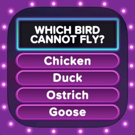 Trivia Star: Trivia Games Quiz Tiktok ads