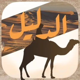 الدليل السعودي Tiktok ads
