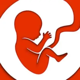 BitLife - Life Simulator Tiktok ads