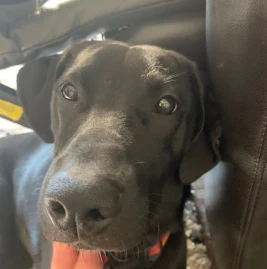 Caden Smith Tiktok ads