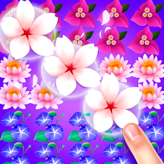 Blossom Match - Merge Flowers