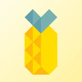 PINA - Plan, Save & Invest Tiktok ads