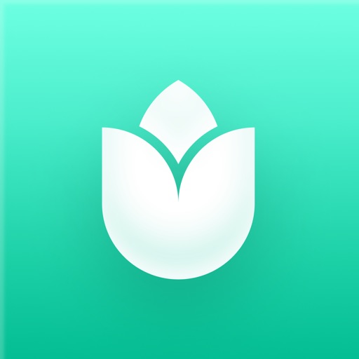 PlantIn: Plant Identifier