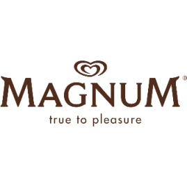 MagnumSG Tiktok ads