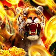 Royal Tiger Tiktok ads