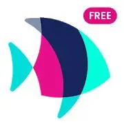 Plenty of Fish Free Dating App Tiktok ads