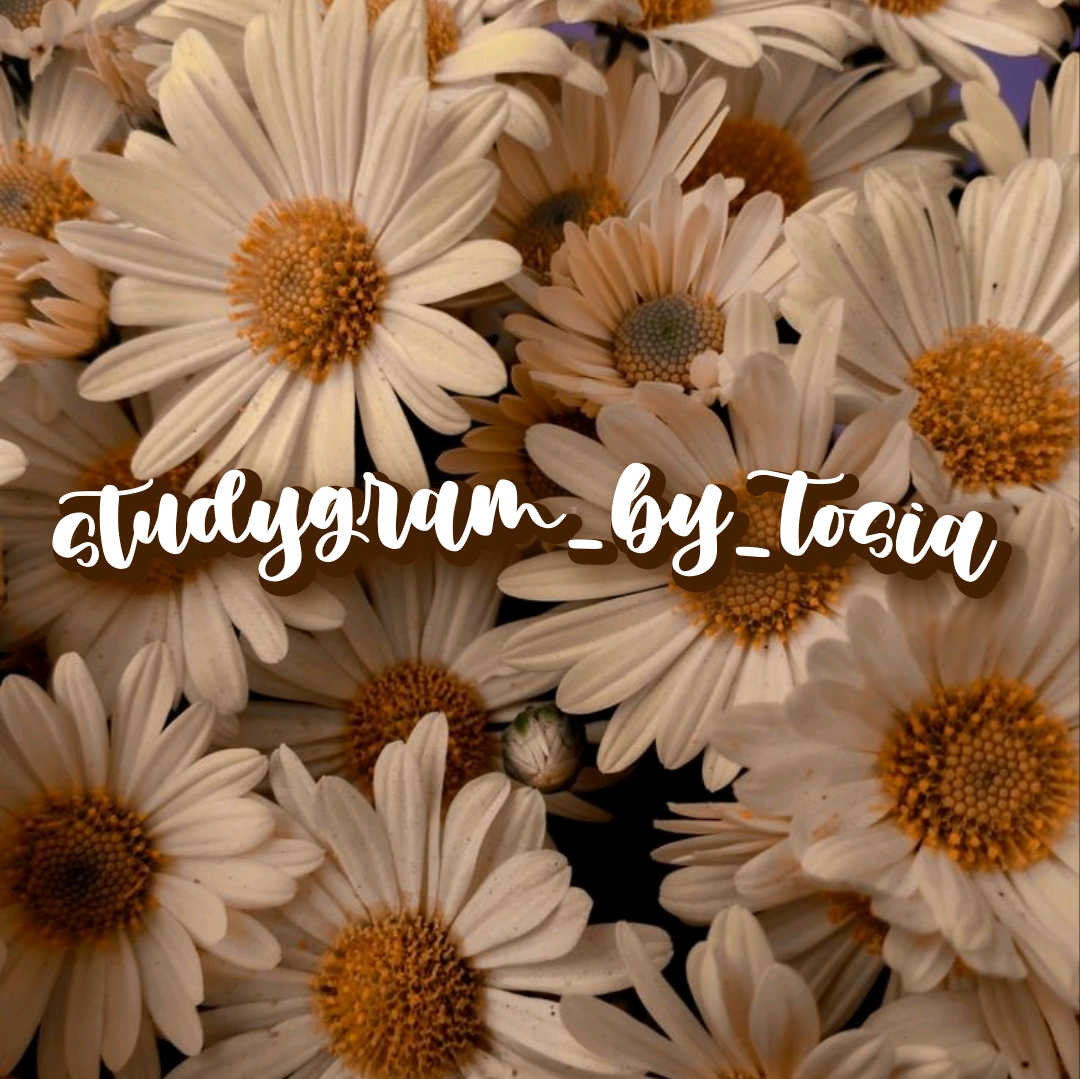 studygram_by_tosia