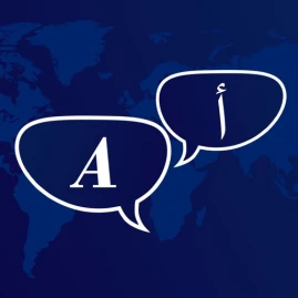 Translate It Max Tiktok ads