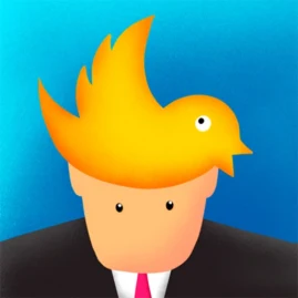 2 in 1 Pic Tiktok ads