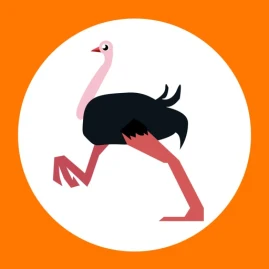 Ostrich Toolkit Tiktok ads