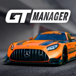 GT Manager Tiktok ads