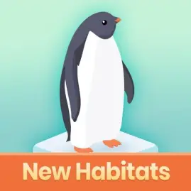 Penguin Isle Tiktok ads