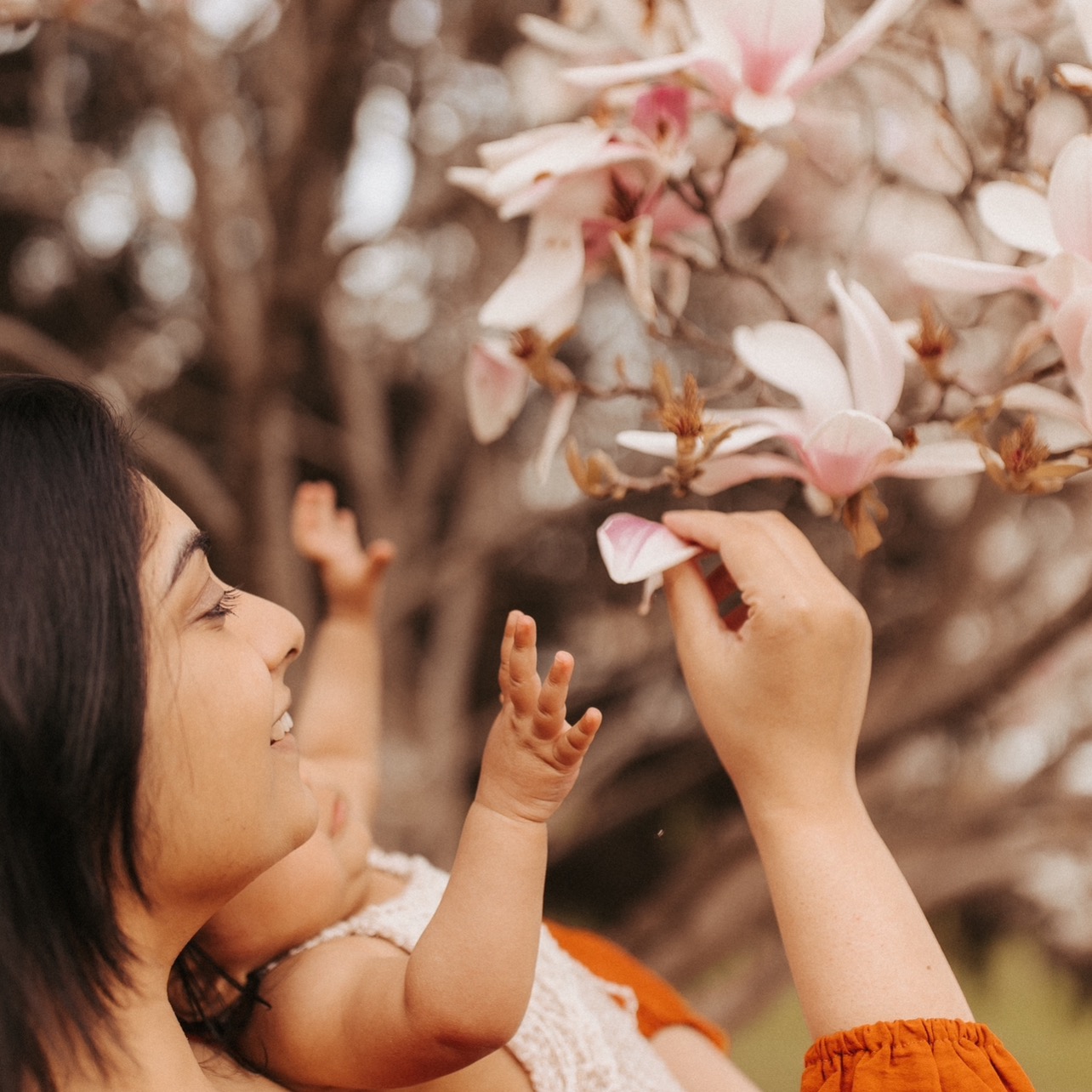 ourlittlehomeofdreams