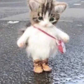 andrea ˚୨୧⋆ Tiktok ads