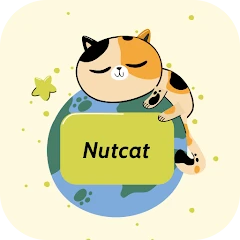 Nutcat VPN Tiktok ads