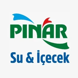 Pınar Su Tiktok ads
