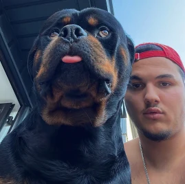 Shpetimcanelo 🐶 Tiktok ads