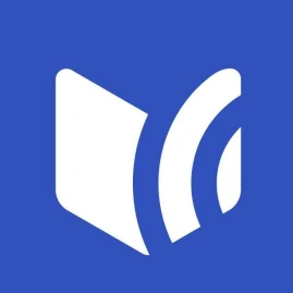 Money Fellows Tiktok ads