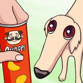 Long Dog - Borzoi Dog Tiktok ads