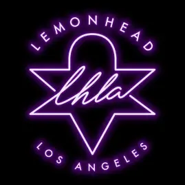 lemonhead.la Tiktok ads