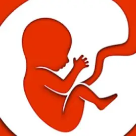 BitLife - Life Simulator Tiktok ads