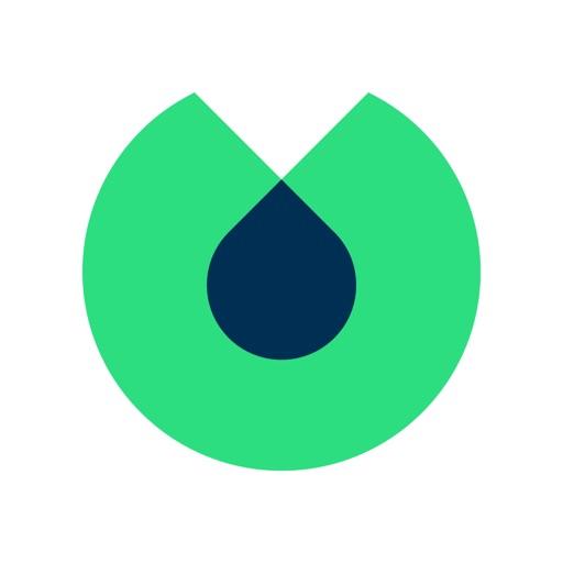 Blinkist: Big Ideas in 15 Min