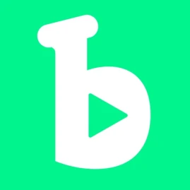 Bundle Find Tiktok ads