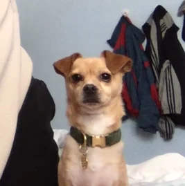 jephphrey Tiktok ads