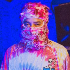 GooseWayne Tiktok ads