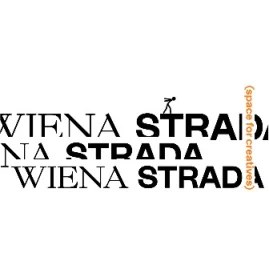 Wiena Strada Tiktok ads