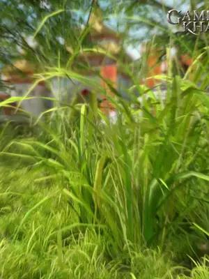 Was für ein wildes Biest! Möchtet Ihr eines?