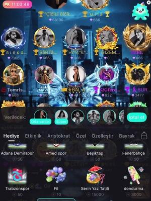 24 saat sesli sohbet odası