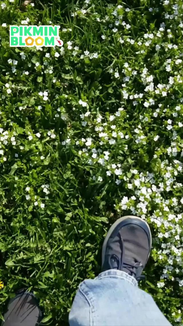 Pikmin Bloom, a walking app.