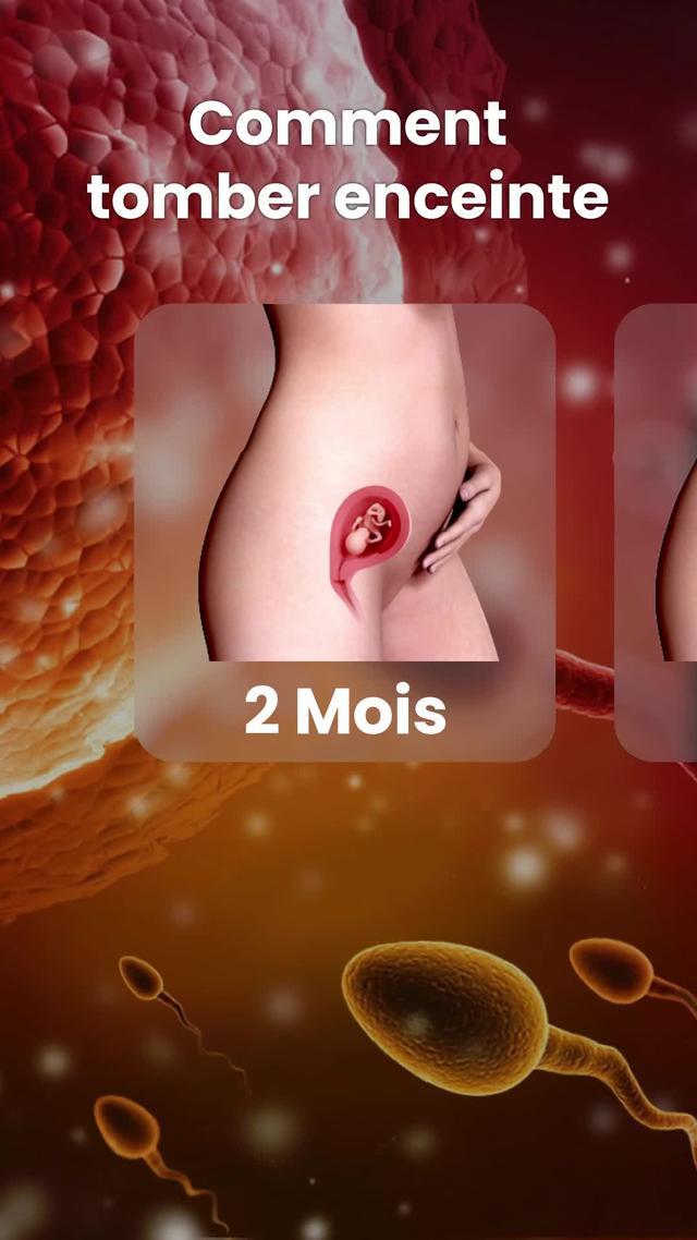 TOMBER ENCEINTE PLUS FACILE ? Obtenez des informations sur la fertilité en temps réel