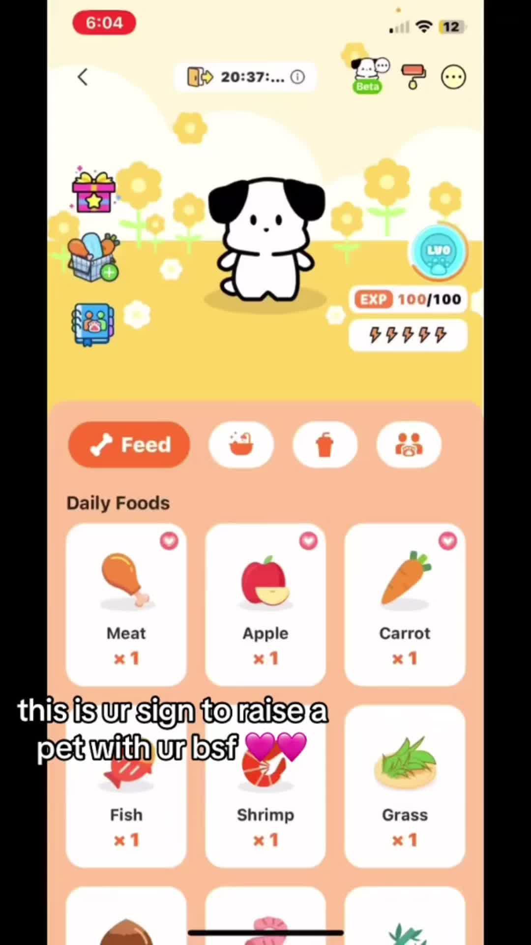 Set Cute Dynamic Animals Widget for your iPhone