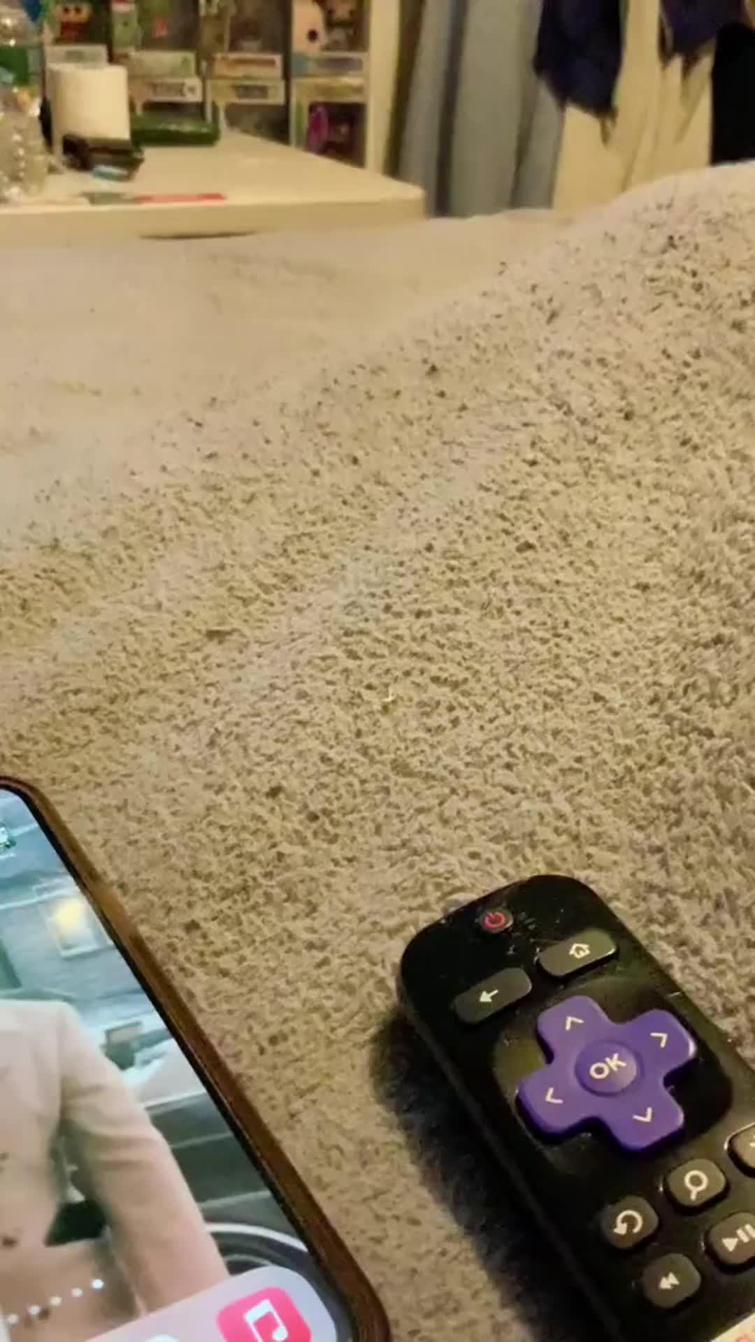 The solution when your home remote is broken or the battery runs out